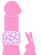 Best Vibrator 
